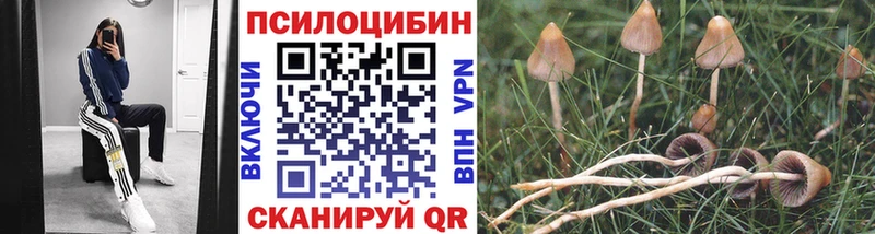 Псилоцибиновые грибы MAGIC MUSHROOMS  Нестеровская 